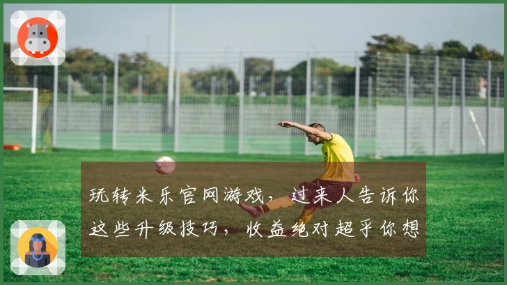 玩转米乐官网游戏，过来人告诉你这些升级技巧，收益绝对超乎你想象！