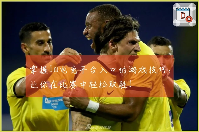 掌握im电竞平台入口的游戏技巧，让你在比赛中轻松取胜！